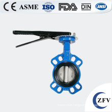 Soft sealing cast iron butterfly valve